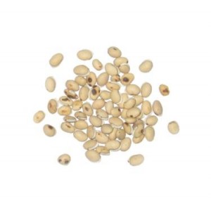 BIAN DOU - Dolichos Seed - Hyacinth Bean