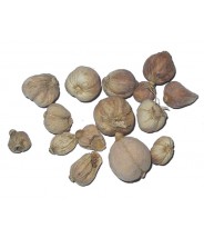 BAI DOU KOU - Round Cardamon Seed