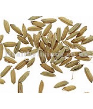 GU YA - Germinated Millet