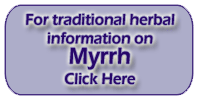Myrrh-Commiphora myrrha