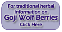 Goji Wolf Berrries - Lycium barb