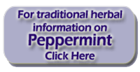 Peppermint - Mentha piperita