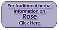 Rose - Rosa centifolia